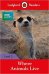 BBC Earth. Where Animals Live. Level 3 and downloadable audio