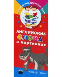 Английские слова в картинках