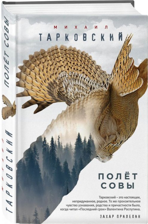 Полёт совы