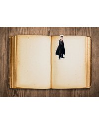 Фигурная магнитная закладка. Гарри Поттер