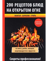 200 рецептов блюд на открытом огне из мяса, рыбы, овощей, морепродуктов и фруктов. Мангал. Барбекю. Гриль