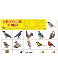 Демонстрационный плакат "Зимующие птицы"