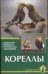 Кореллы. Содержание. Разведение. Профилактика заболеваний