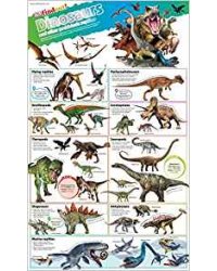 DKfindout! Dinosaurs Poster. Wall Chart