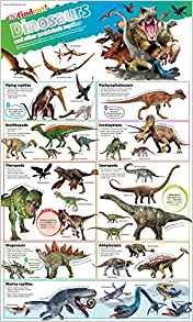 Обложка книги «DKfindout! Dinosaurs Poster. Wall Chart», ISBN 9780241295809