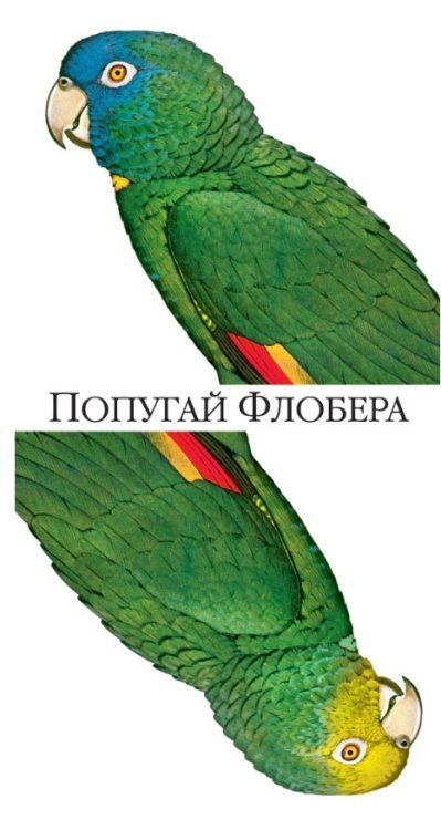 Попугай Флобера