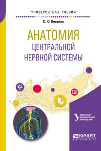 Обложка книги «Анатомия центральной нервной системы. Учебное пособие для вузов» — Киселев С.Ю., ISBN 9785534053760