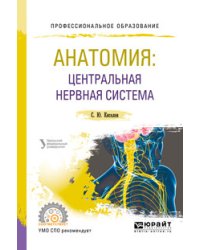 Анатомия: центральная нервная система. Учебное пособие для СПО