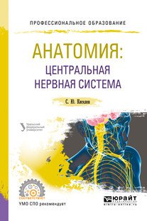 Обложка книги «Анатомия: центральная нервная система. Учебное пособие для СПО» — Киселев С.Ю., ISBN 9785534053791