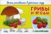 Обложка книги «Грибы и ягоды. Уроки рисования в детском саду. С наклейками» — Шестакова И.Б., ISBN 9785465034630