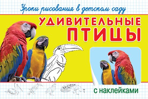 Обложка книги «Удивительные птицы. Уроки рисования в детском саду. С наклейками» — Шестакова И.Б., ISBN 9785465034593
