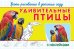 Обложка книги «Удивительные птицы. Уроки рисования в детском саду. С наклейками» — Шестакова И.Б., ISBN 9785465034593