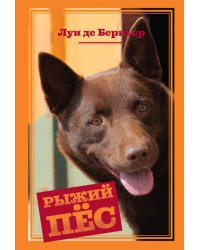 Рыжий пёс