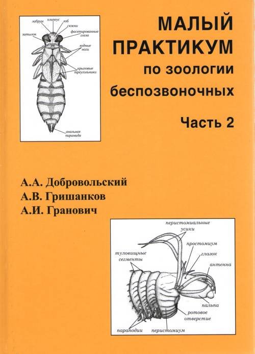 Обложка книги «Малый практикум по зоологии беспозвоночных. Часть 2» — Добровольский А.А., Гришанков А.В., Гранович А.И., ISBN 9785950059155