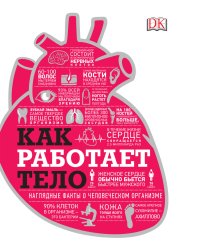 Как работает тело