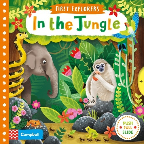 First Explorers In the Jungle. Board book