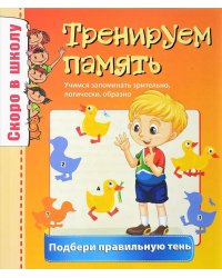 Тренируем память. Подбери правильную тень. Учимся запоминать зрительно, логически, образно