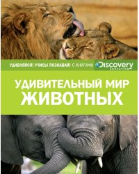 Удивительный мир животных
