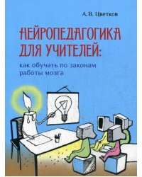Нейропедагогика для учителей: как обучать по законам работы мозга