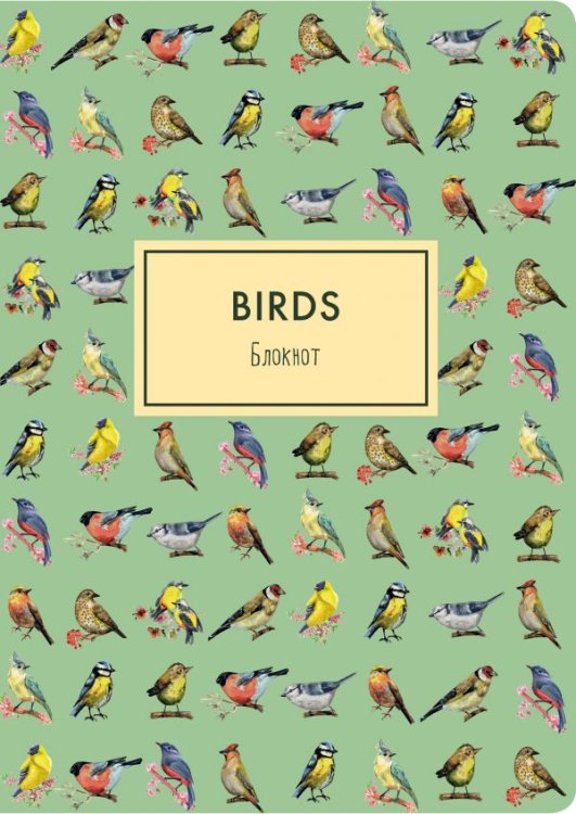 Блокнот. Birds