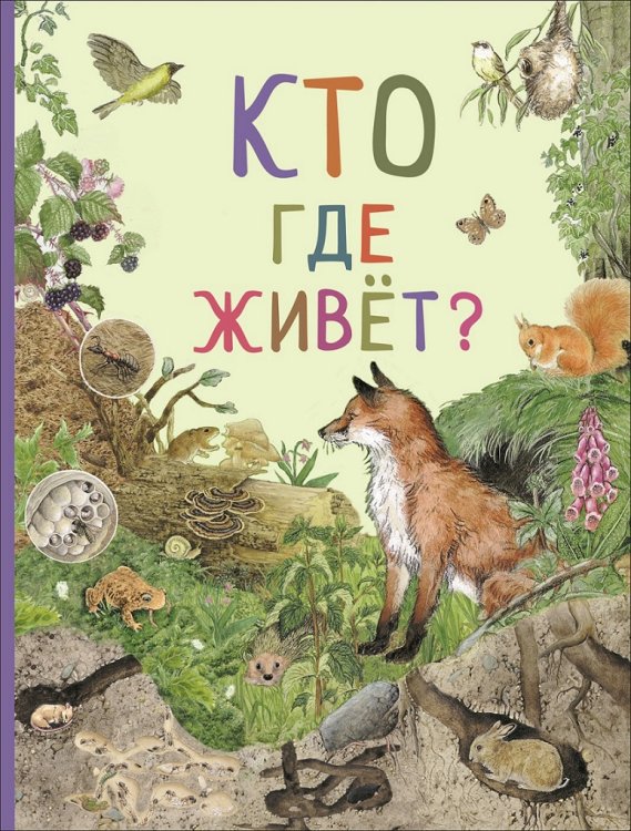 Кто где живет?