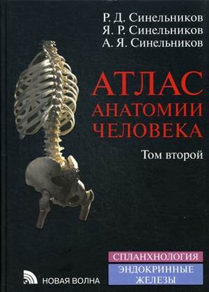 Обложка книги «Атлас анатомии человека. В 4-х томах. Том 2: Учение о внутренностях и эндокринных железах» — Синельников Рафаил Давидович, Синельников Яков Рафаилович, Синельников Александр Яковлевич, ISBN 9785786402767
