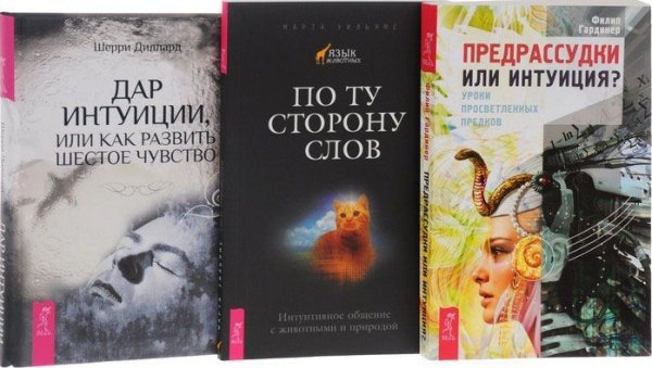 Обложка книги «Предрассудки или интуиция. По ту сторону слов. Дар интуиции, или Как развить шестое чувство (количество томов: 3)» — Гардинер Филип , Диллард Шерри , Уильямс Марта, ISBN 9785944309761