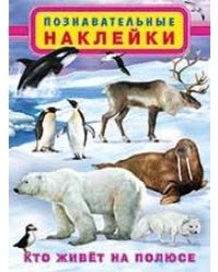 Кто живет на полюсе