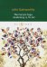The Forsyte Saga. Awakening &amp; To Let