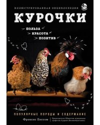 Курочки. Популярные породы и содержание. Иллюстрированная энциклопедия