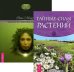 Тайные силы растений. Природная магия. Часть 1 (количество томов: 2)