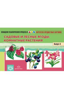 Картотека предметных картинок. Наглядный дидактический материал. Выпуск 6. Садовые и лесные ягоды. Комнатные растения