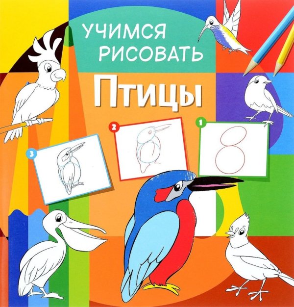 Обложка книги «Учимся рисовать. Птицы. Развивающая книга», ISBN 9785906843838