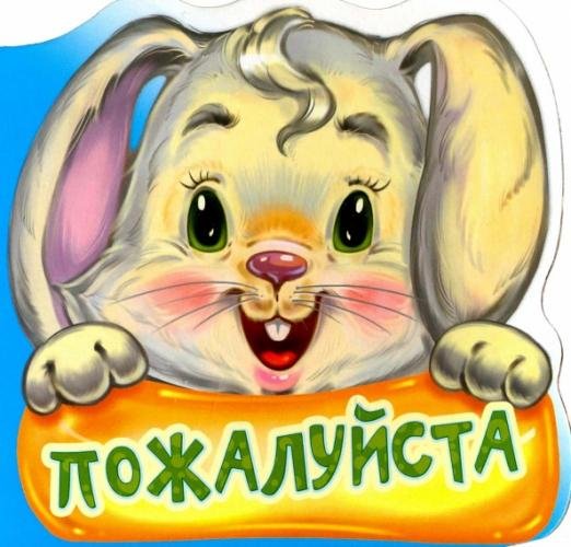 Обложка книги «Пожалуйста» — Меламед Геннадий Моисеевич