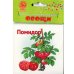 Обложка книги «Карточки для развития ребенка двухсторонние "Овощи", арт. Р-2125»