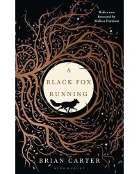 A Black Fox Running