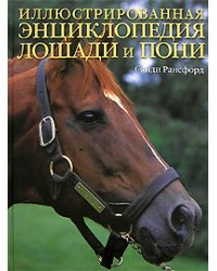 Лошади и пони