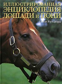 Лошади и пони