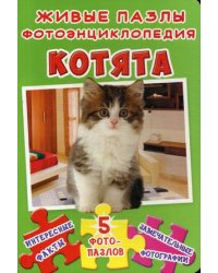 Живые пазлы. Фотоэнциклопедия. Котята. Интересные факты, 5 фотопазлов, замечательные фотографии