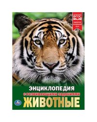 Животные