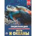 Моря и океаны