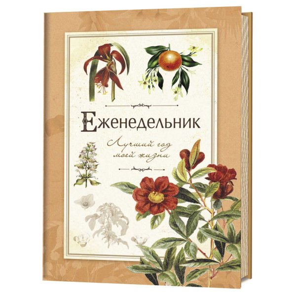 Еженедельник. Лучший год моей жизни (оранжевый)