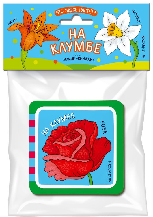 Мини-книжка ЭВА. Что здесь растёт? На клумбе