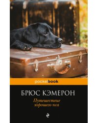 Путешествие хорошего пса