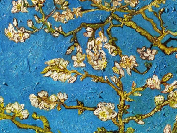 Чехол для карточек. Ван Гог. Цветущие ветки миндаля (в форме книжки)