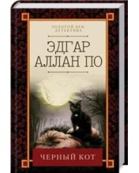 Черный кот