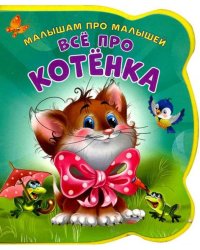 Все про котенка