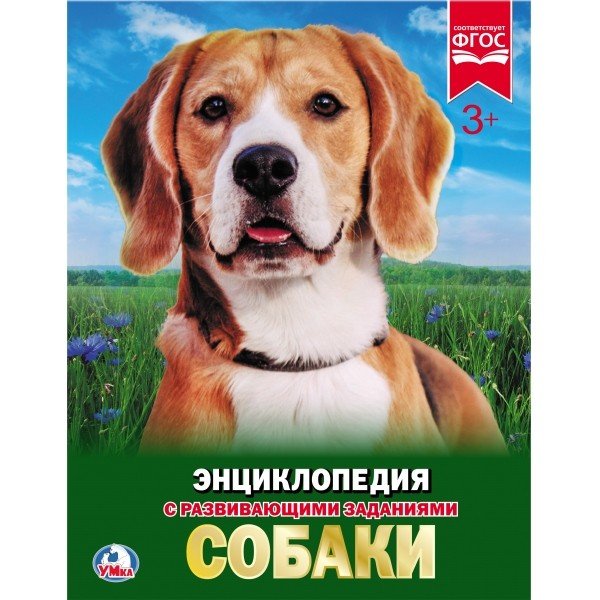 Собаки, Энциклопедия с развивающими заданиями