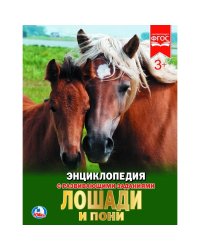 Лошади и пони