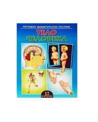 Наглядно-дидактическое пособие "Тело человека", 12 карточек